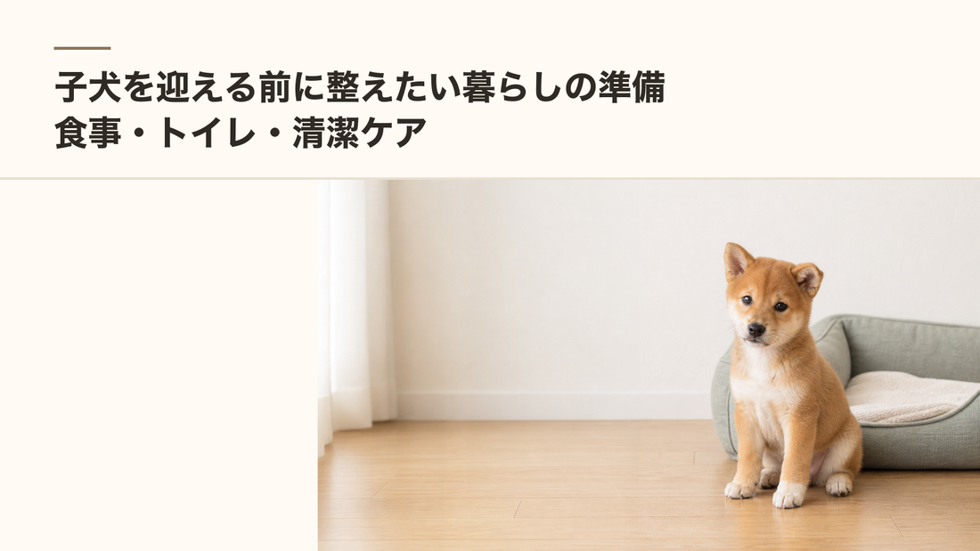 子犬を迎える前に整えたい暮らしの準備｜食事・トイレ・清潔ケア