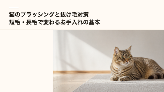 猫のブラッシングと抜け毛対策｜短毛・長毛で変わるお手入れの基本
