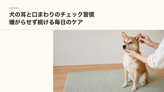 犬の耳と口まわりのチェック習慣｜嫌がらせず続ける毎日のケア