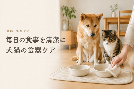 犬猫の食器のぬめり・ニオイ対策｜毎日続けたい清潔な洗い方