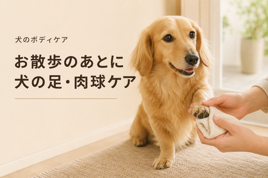 犬の散歩後の足・肉球ケア｜汚れをやさしく落とす方法