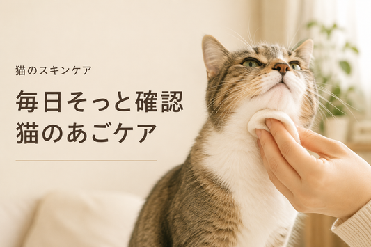 猫のあごの黒い汚れが気になるとき｜毎日の確認とお手入れ