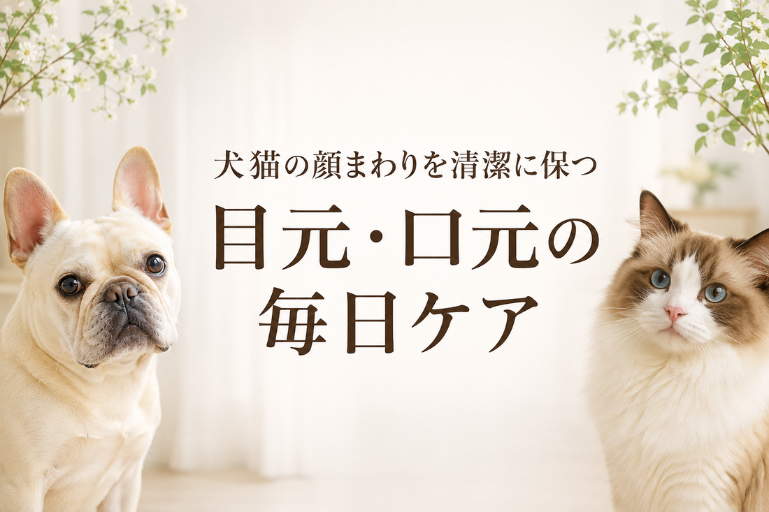 犬猫の顔まわりを清潔に保つ 目元・口元の毎日ケア