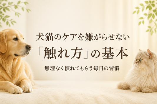 犬猫のケアを嫌がらせない「触れ方」の基本 無理なく慣れてもらう毎日の習慣