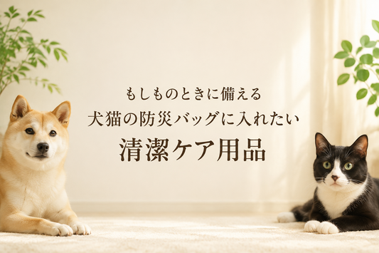 もしものときに備える 犬猫の防災バッグに入れたい清潔ケア用品