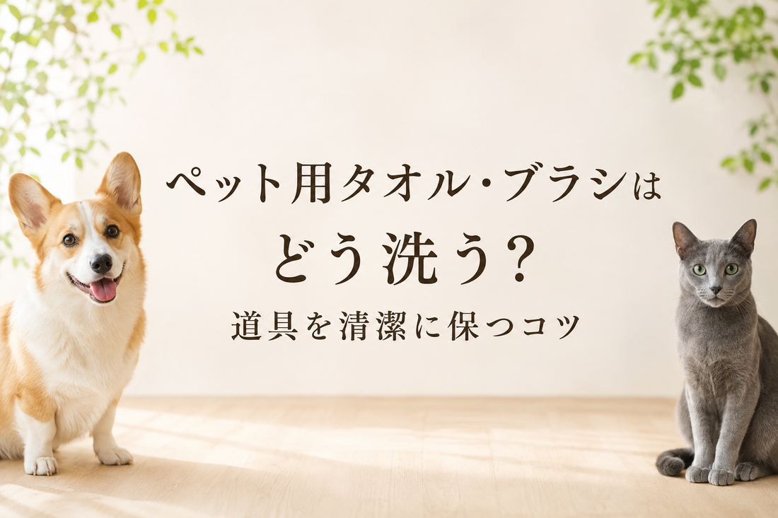 ペット用タオル・ブラシはどう洗う？道具を清潔に保つコツ