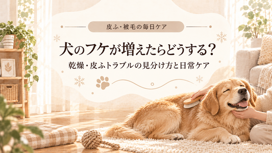 犬猫の冬の乾燥対策｜暖房を使う季節に気をつけたい皮ふと肉球のケア