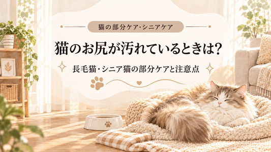 猫のお尻が汚れているときは？長毛猫・シニア猫の部分ケアと注意点