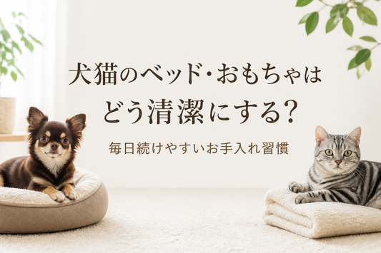 犬猫のベッド・おもちゃはどう清潔にする？毎日続けやすいお手入れ習慣