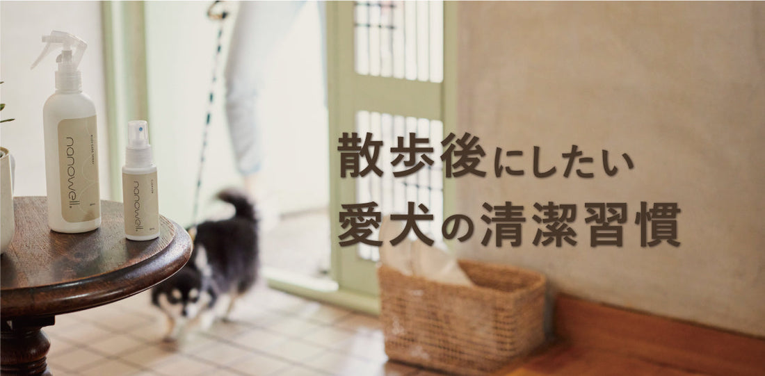 散歩後にしたい犬の清潔習慣 足・口まわり・被毛の簡単ケア