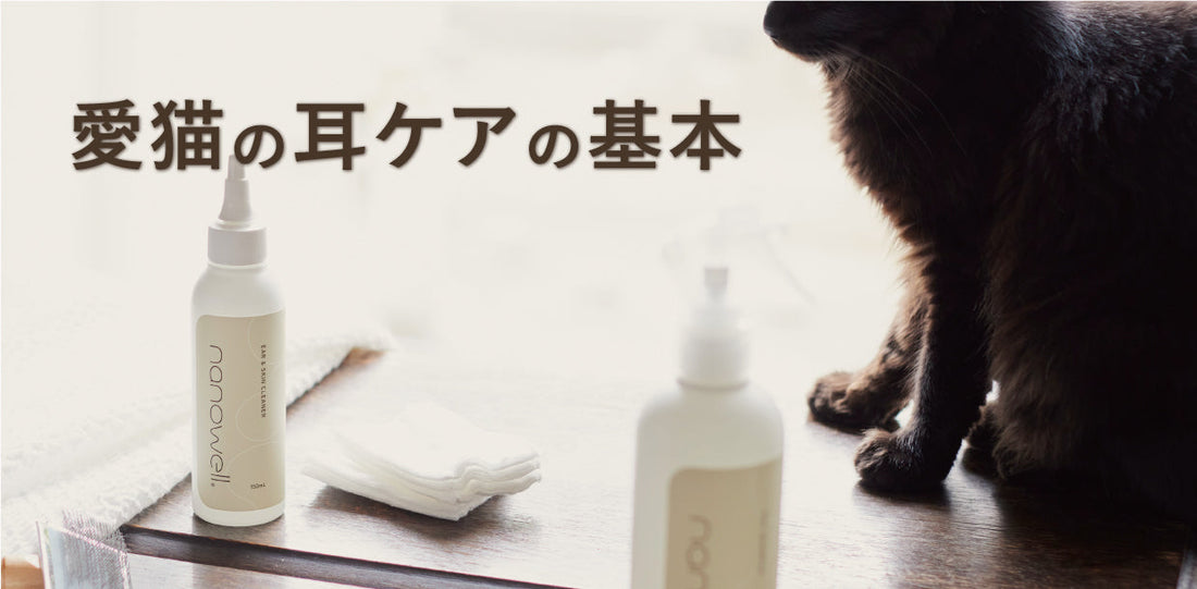 愛猫の耳ケアの基本 家でできるチェックポイントと注意点