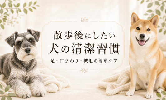散歩後にしたい犬の清潔習慣 足・口まわり・被毛の簡単ケア