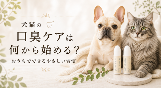 犬猫の口臭ケアは何から始める？おうちでできるやさしい習慣