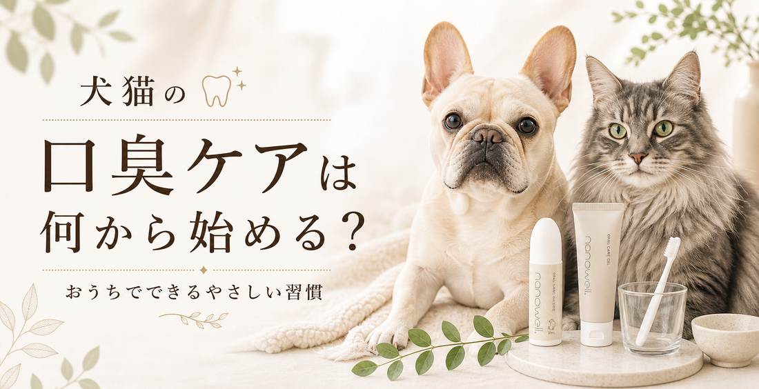 犬猫の口臭ケアは何から始める？おうちでできるやさしい習慣