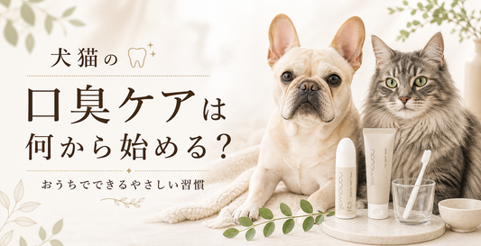 犬猫の口臭ケアは何から始める？おうちでできるやさしい習慣