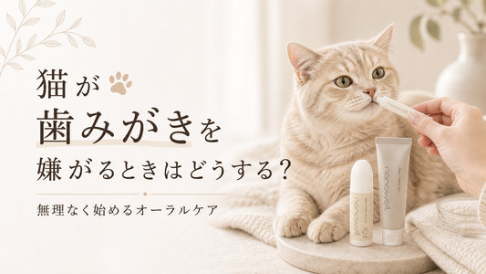 猫が歯みがきを嫌がるときはどうする？無理なく始めるオーラルケア
