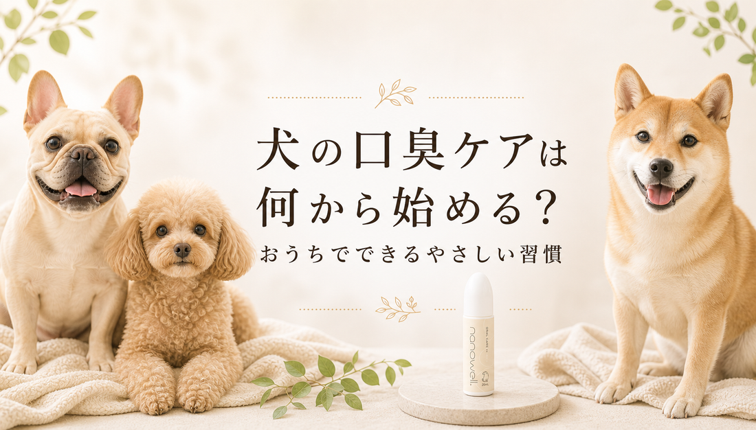 犬の口臭が気になる原因とは？おうちでできる毎日の口腔ケア