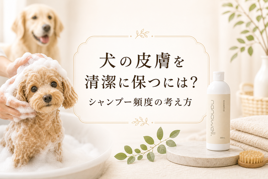 犬の皮膚を清潔に保つには？シャンプー頻度の考え方