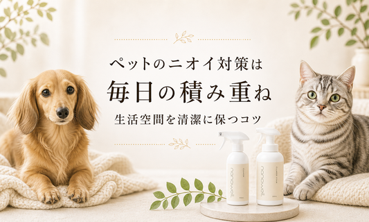 パートナーのニオイ対策は毎日の積み重ね 生活空間を清潔に保つコツ