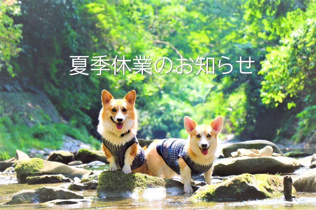 夏期休業のご案内