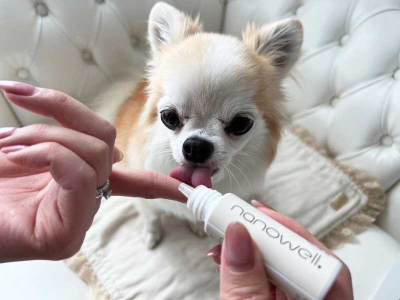 for DOG