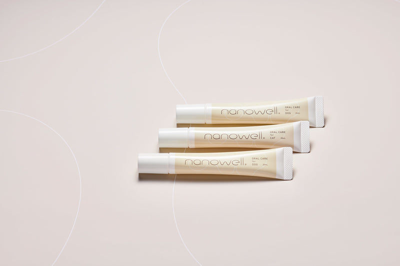 ORAL CARE
