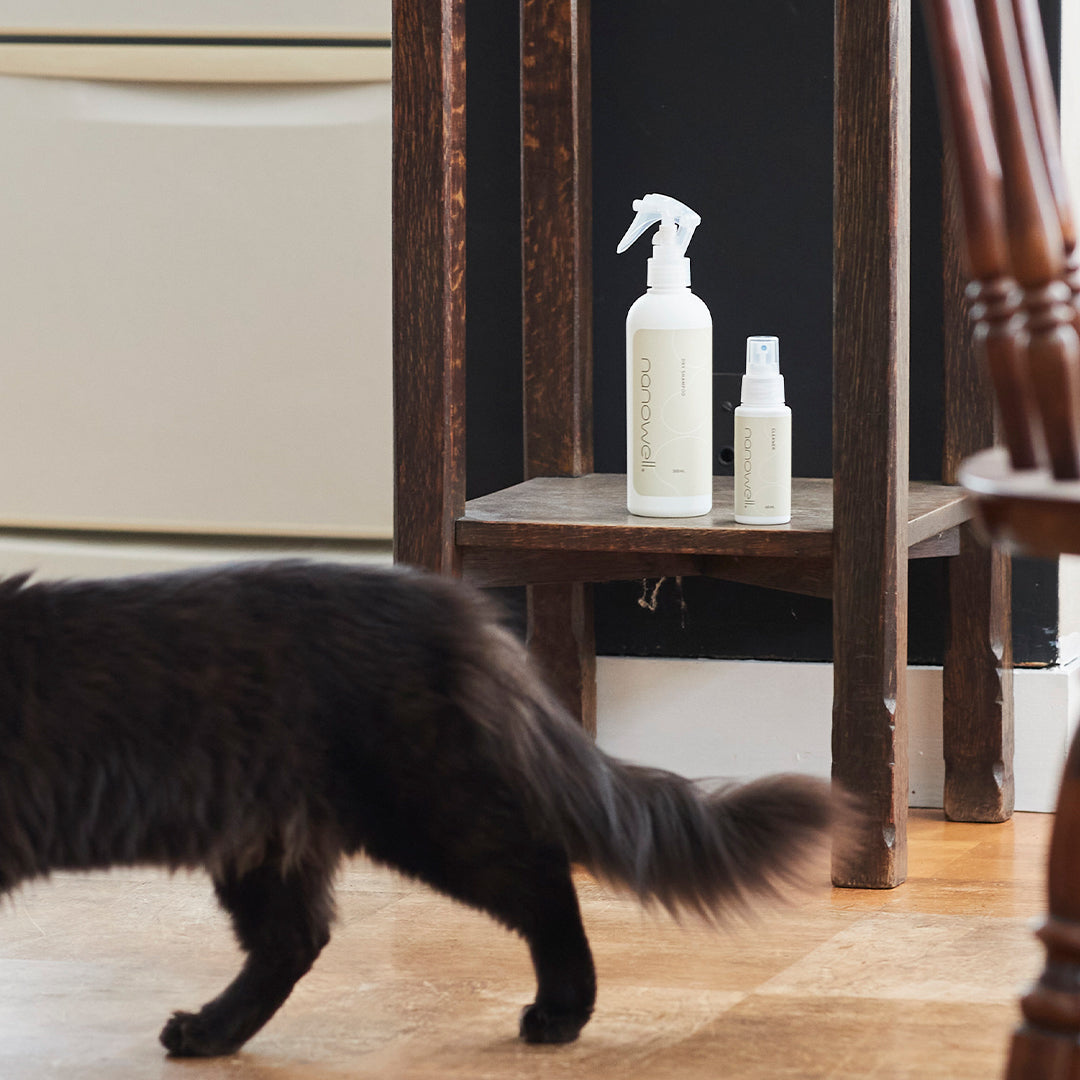犬・猫の乾燥やニオイに。詰替用ケアスプレー300ml｜ナノウエル